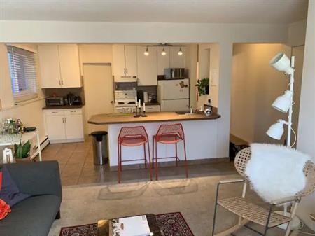 Modern 1 bedroom Apartment for rent in Lower Mt. Royal | 1745 13 Street SW, Calgary