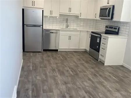 BASEMENT SUITE with SEPARATE OUTDOOR SPACE | 45 St SE, Calgary