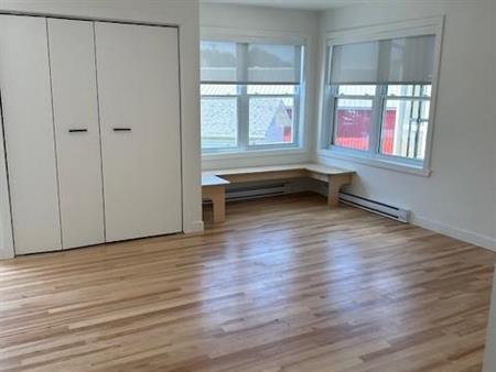 Très charmant 3 1/2 au coeur du village de Napierville Electros inclus