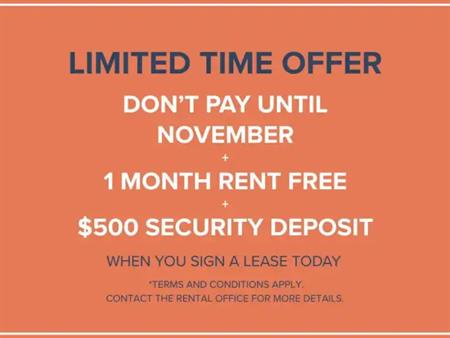 Dolphin Square Apartments | 8200 Park Road, Richmond