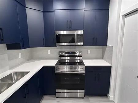 Spacious 1 Bed New Legal Suite | Legacy SE | Custom SONOPAN SOUND PROOFING | Calgary