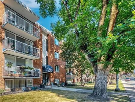 Mission District Freshly Renovated 1 bd. Condo | 320 24 Avenue SW, Calgary