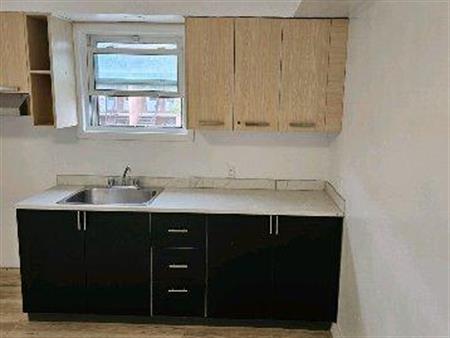 SUPERBE 6 1/2 TOUT RÉNOVÉ AVEC COUR PRIVÉE
