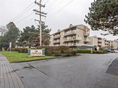 Clipper Cove | 8660 Granville Avenue, Richmond