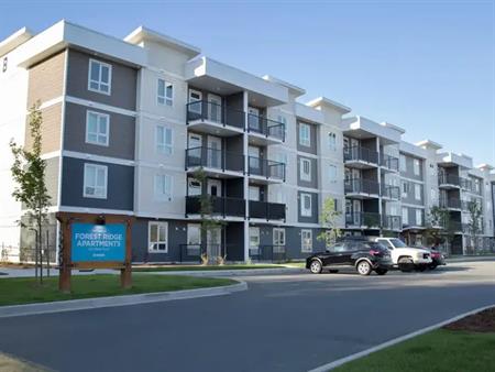 Forest Ridge Apartments | 322 Nikola Rd., Campbell River