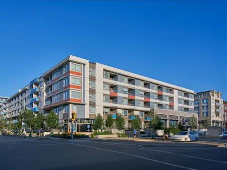 Camellia | 10820 No. 5 Road, Richmond