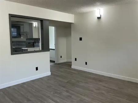 New 3-Bedroom Basement • Private Entry • Laundry • 2 Parking (+ Optional Garage) | 1207 80 Street Northwest, Edmonton