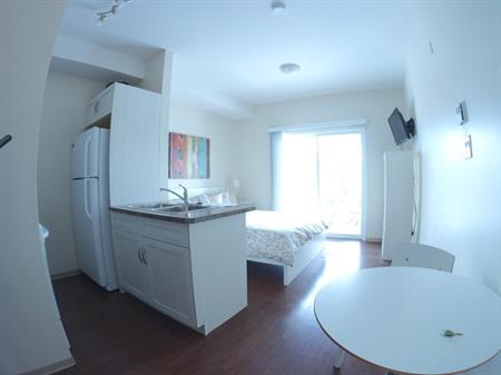 Fully Furnished Studio Apartment in Innisfail | 5202 Woodland Road, Innisfail