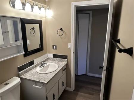 RENOVATED Bridgeland side-by-side full HALF DUPLEX | Calgary