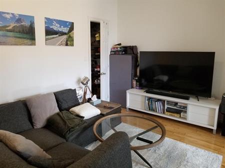 Beau logement 4½ rénové récemment, dans Rosemont-La-Petite-Patrie, près de la piste cyclable et du Plateau Mont-Royal
