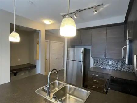 Modern newly painted 1 Bed, 1 Bath in WIndermere | 315 - 2590 Anderson Way SW, Edmonton