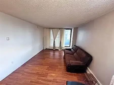 Renovated and Semi-furnished Apartment in Beltline | 802 - 1240 12 Avenue Southwest, Calgary