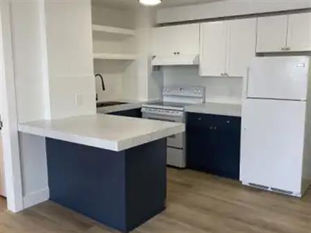 Beautiful 1 Bedroom Condo Close to the U of A, Legislature, Grant Mac & Down Tow | 610 - 9730 106 St NW, Edmonton