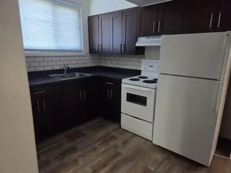 Bright Lower 2-bedroom suite in a Raised Bungalow | 2808 B 14 Street Northwest, Calgary