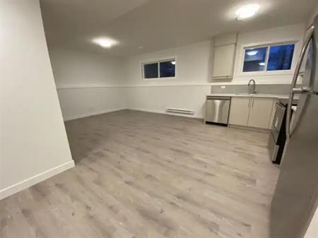 Charming 2024 Build Legal 2-Bedroom Bi-Level Basement Suite | Calgary