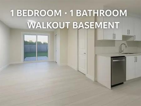 New Walkout Basement | 100 Auburn Meadows Pl S E, Calgary