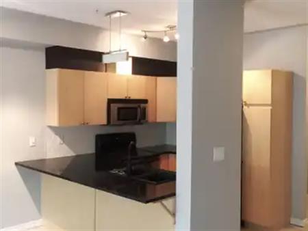 1 Bedroom +Den with Murphy Bed Downtown Condo | 308 - 10606 102 Ave, Edmonton
