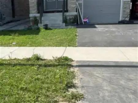 BSMT - 83 BARKERVILLE DRIVE | BSMT - 83 BARKERVILLE DRIVE, Whitby