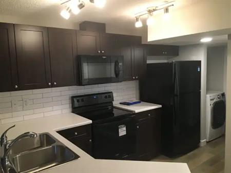 All Utilities included with the basement suit | 9 Ebbers Close NW, Edmonton