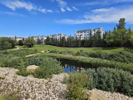 A comfortable and bright condo with great amenities in prime location | 345 Rocky Vista Park Northwest, Calgary
