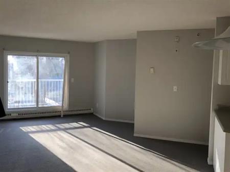 Quiet Building in Queen Mary Park | 302 - 12110 119 Avenue Northwest, Edmonton