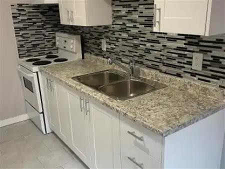 2 bedroom renovated suite | Edmonton