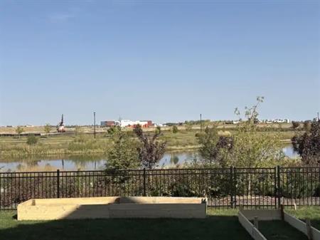 Newly built walkout basement | 3081 Dixon Way Southwest, Edmonton