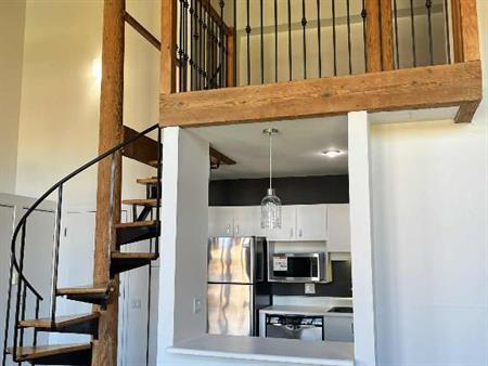 Condo à Louer Place Paton Sherbrooke
