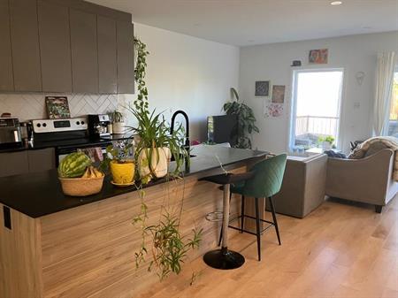 Magnifique et lumineux 4 1/2 quartier St-Sauveur