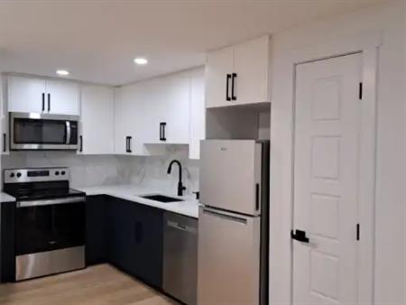 Newly built 2 Bed Basement suit | 15 Amblefield Common Northwest, Calgary