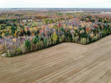 St-Célestin (Centre-du-Québec) : Terre à bois et de culture de 65,20 acres