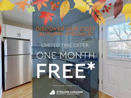Bedford Gardens - 440 Cumberland Street & 245 Yates Street | 440 Cumberland Street, Cornwall