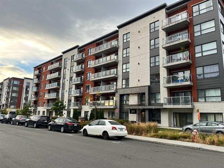 Appartement 3 1/2 à louer.