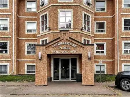 Spacious  2 Bedroom near Downtown | 214 - 9010 106 Avenue, Edmonton