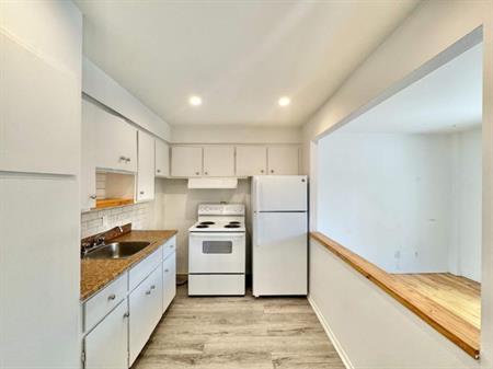 Charmant appartement très éclairé