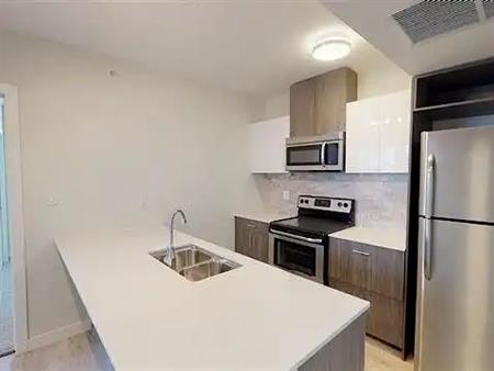 Executive 2 Bedroom Downtown Condo - W/ Parking | 10227 115 Street Northwest, Edmonton