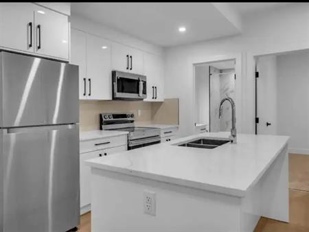 Brand New Luxury 2 Bedroom Basement | Calgary
