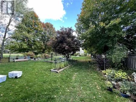 3291 LIBERTY STREET N | 3291 LIBERTY STREET N, Clarington