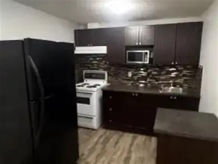 Cozy Basement Suit for rent close to all amenities | 369 Martin Crossing Place Northeast, Calgary