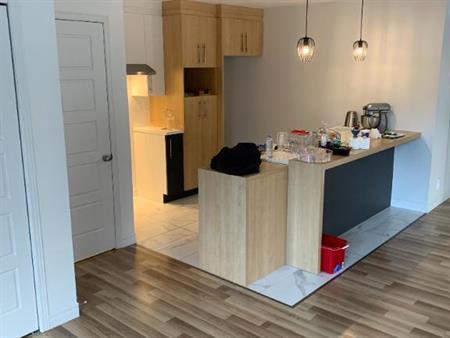 Superbe logement 5 1/2 à St-Nicolas, 2ème étage, climatisé, 2 STATIONNEMENTS EXTÉRIEURS INCLUS, LIBRE LE 1ier décembre 2025.