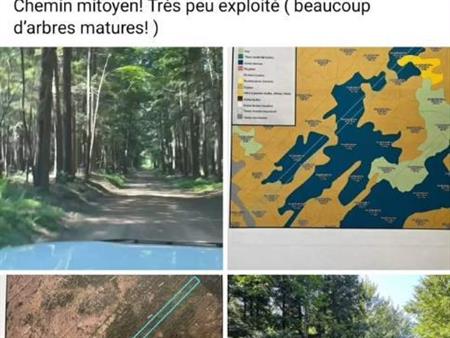 Terre à bois
