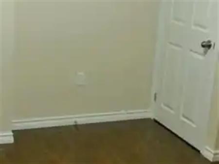 ROOM - 4584 KIRBY ALLEY | ROOM - 4584 KIRBY ALLEY, Vaughan