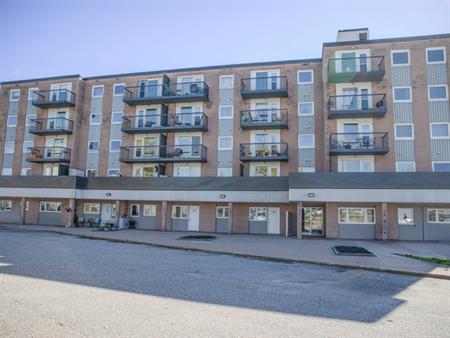 Trout Lake Place - ALL INCLUSIVE | 2677 Trout Lake, North Bay
