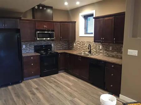 BASEMENT SUITE FOR RENT IN EASTVIEW! AVAILABLE NOVEMBER 1, 2025 | Suite B, 3717 45 Street, Red Deer
