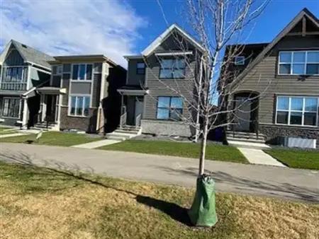 New House in Mahogany | 46 Magnolia Street Southeast, Calgary