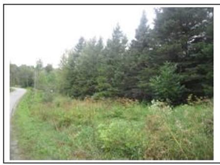 Terres à bois Deschambault-Grondines