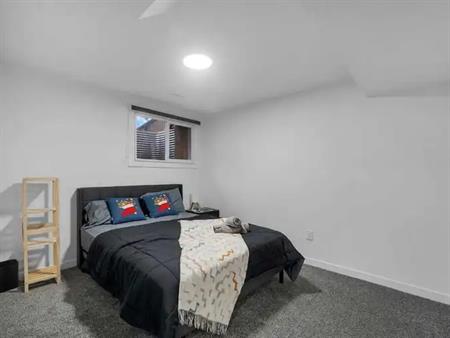 Newly renovated legal basement suite in the heart of Bridgeland | 224 8A Street Northeast, Calgary