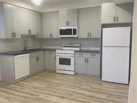 NEW BSMT SUITE  | 1 BED & 1 BATH | TREE LINED STREET IN HIGH PARK! | BSMT 15104-110 Avenue NW, Edmonton