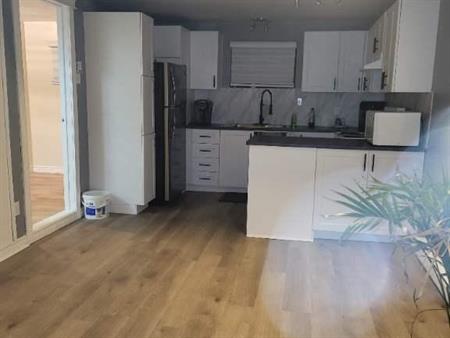 Logement 31/2 sous-sol maison