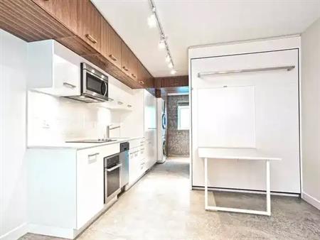 Beautiful Modern Studio in Chinatown | 245 East Georgia Street, Vancouver